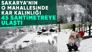 Karın tadını bu kez çocuklar değil, yetişkinler çıkardı