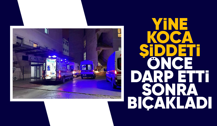 Karısını darp edip bıçakladı