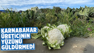 Karnabahar üreticinin yüzünü güldürmedi