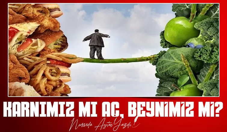 KARNIMIZ MI AÇ, BEYNİMİZ Mİ?