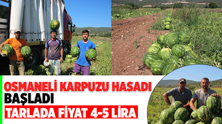 Karpuzun tarlada fiyatı 4-5 lira