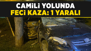 Karşı yöne geçip araca ve ağaca çarptı