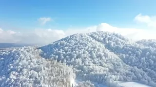 Kartepe'den kartpostallık görüntüler