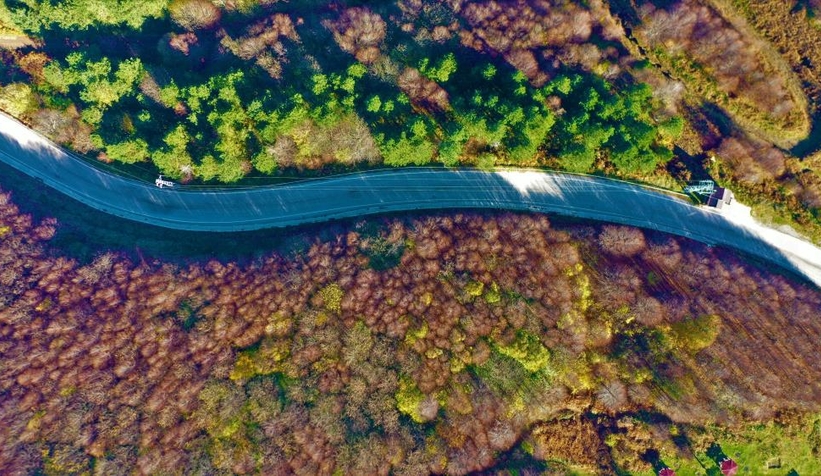 Kartepe sonbaharda rengarenk