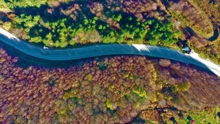 Kartepe sonbaharda rengarenk