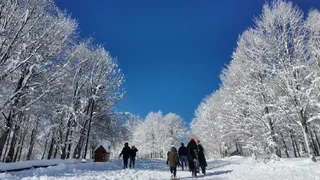 Kartepe'ye akın ettiler