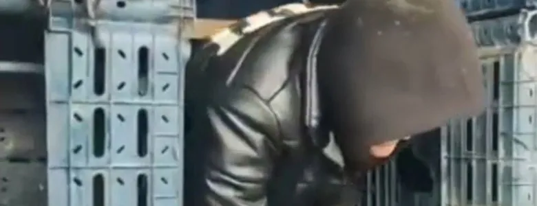 Kasalar arasından 14 kaçak Afgan çıktı