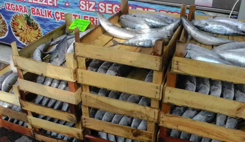 Kasalar dolusu palamut ve hamsi ile döndüler