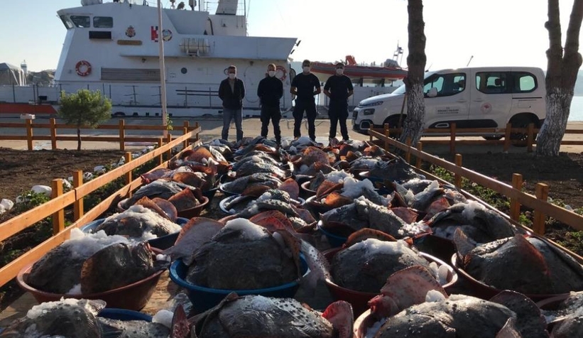 Katliam yapıp 3 ton kalkan avladılar