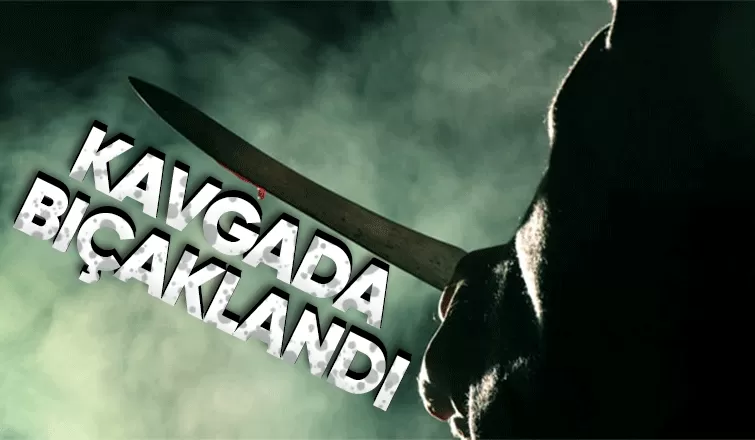 Kavgada kan aktı