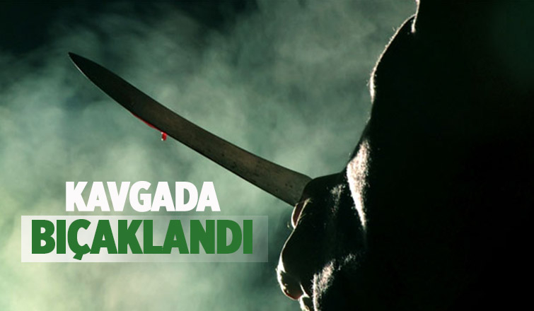 Kavgada kan aktı