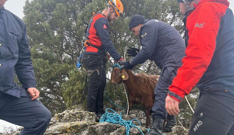 Kayalıklarda keçi kurtarma operasyonu