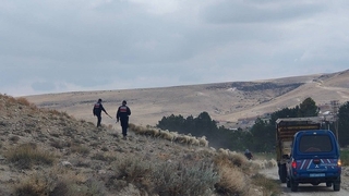 Kaybolan küçükbaş hayvanları jandarma buldu