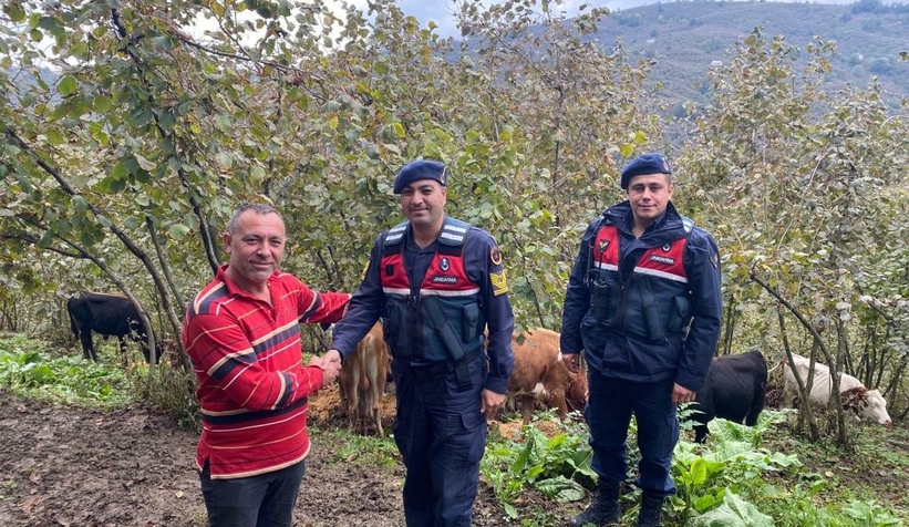 Kayıp hayvanlar bulunarak sahibine teslim edildi