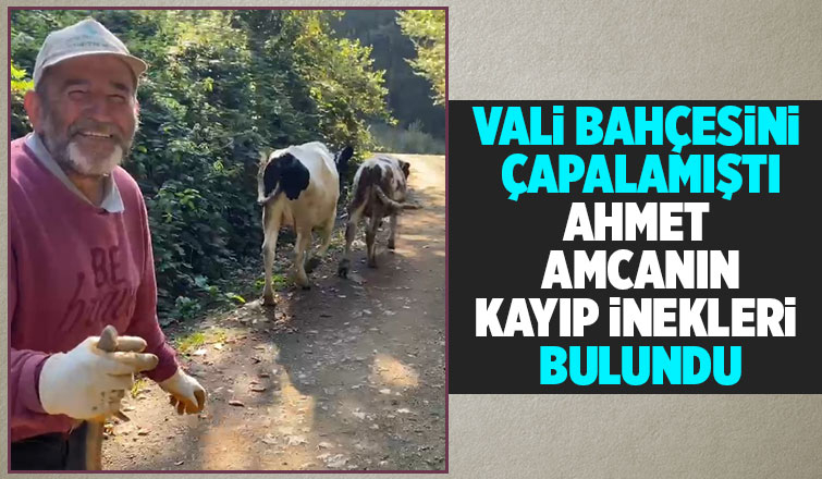 Kayıp inekleri Milli sporcu buldu