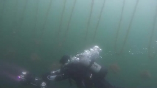 Kayıp mürettebatı aramak için midye çiftliğine daldılar