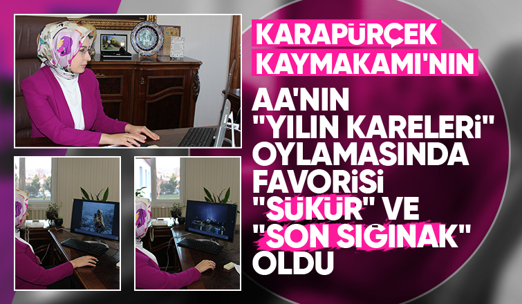 Kaymakam Kılıç, AA'nın 'Yılın Kareleri' oylamasında katıldı