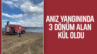 Kaynarca'da anız yangını