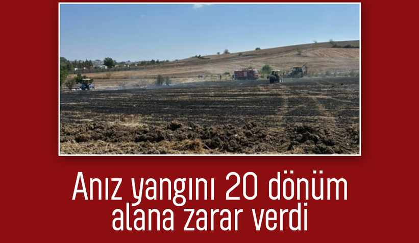 Kaynarca'da anız yangını