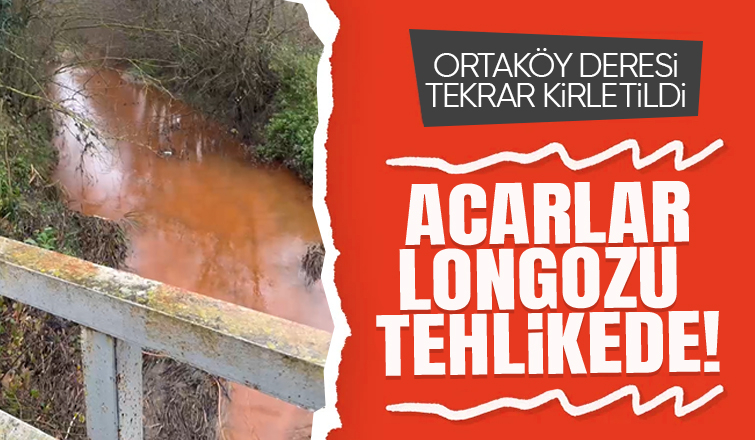 Kaynarca'da çevre felaketi