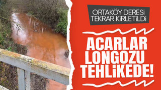 Kaynarca'da çevre felaketi