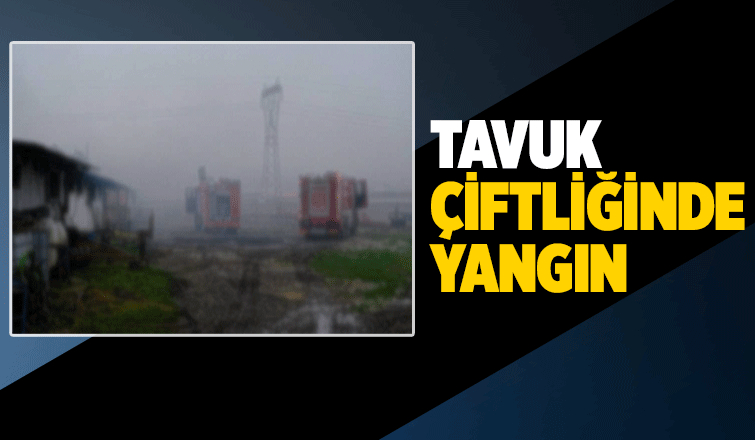 Kaynarca'da çiftlik yangını