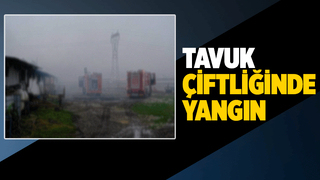 Kaynarca'da çiftlik yangını