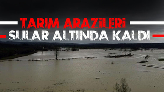 Kaynarca'da tarım arazileri sular altında kaldı