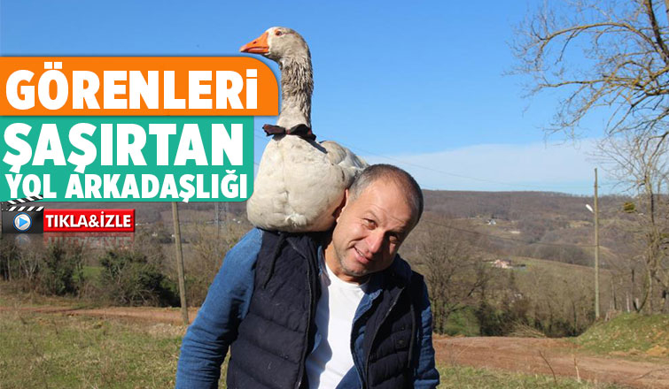 Kaz ile yol arkadaşlığı şaşırtıyor