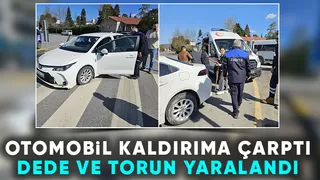 Kazada dede ve torunu hastanelik oldu