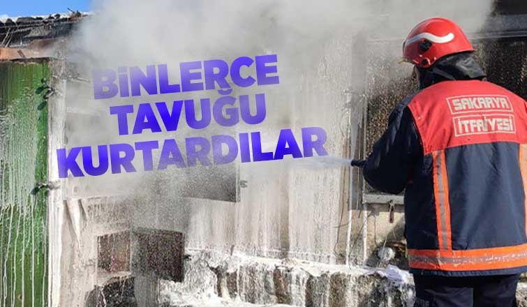 Kazan patladı, binlerce tavuk son anda kurtarıldı