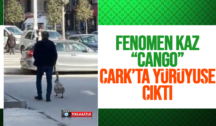 Kazı ile Çark Caddesi'nde yürüyüş yaptı