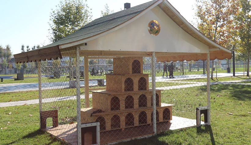 Kediler bu projeyle daha güvende