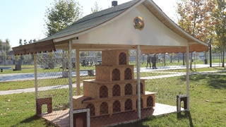 Kediler bu projeyle daha güvende