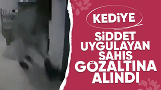 Kediye şiddete gözaltı