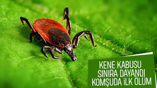 Kene Bolu'da can aldı