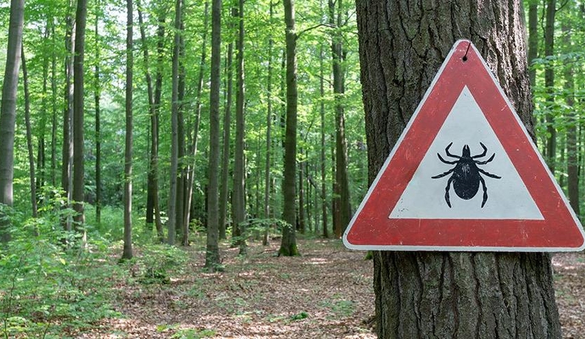 Keneden iki ölüm daha, sayı 5’e yükseldi