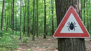 Keneden iki ölüm daha, sayı 5’e yükseldi