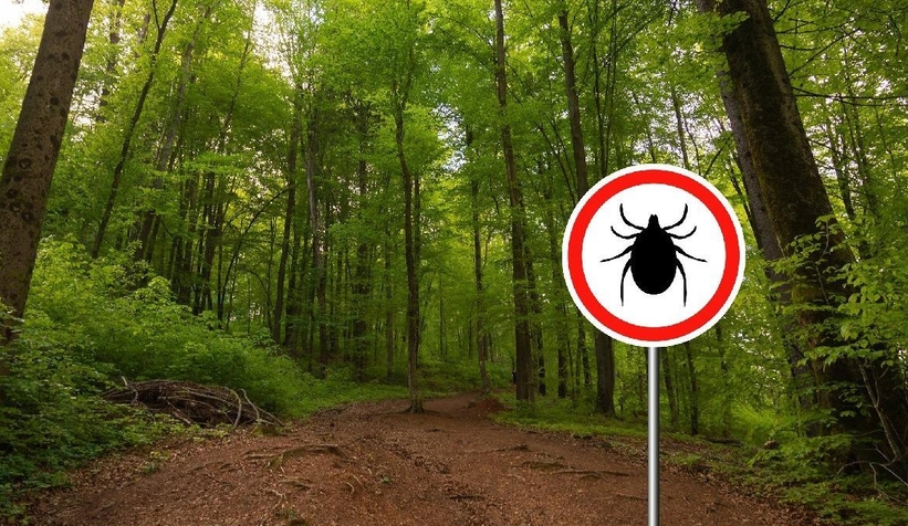 Keneden ölenlerin sayısı 6’ya yükseldi