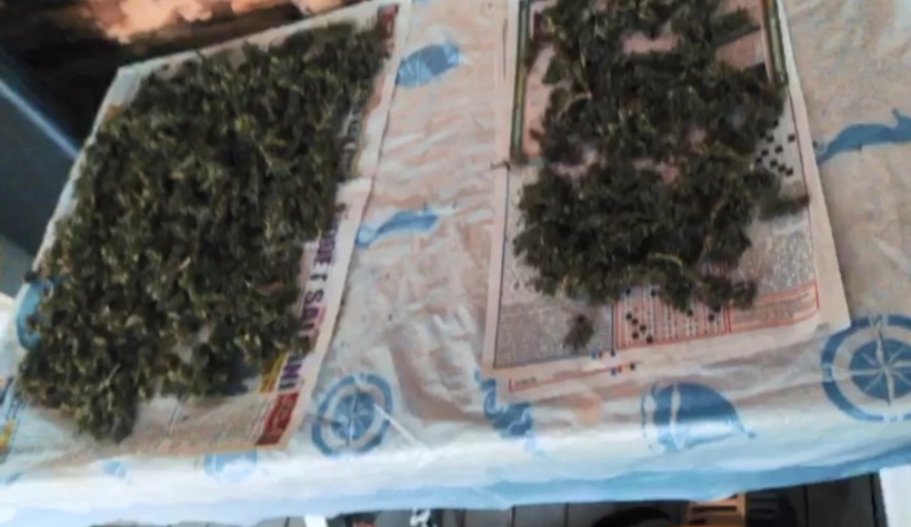 Kenevir imalathanesine operasyon