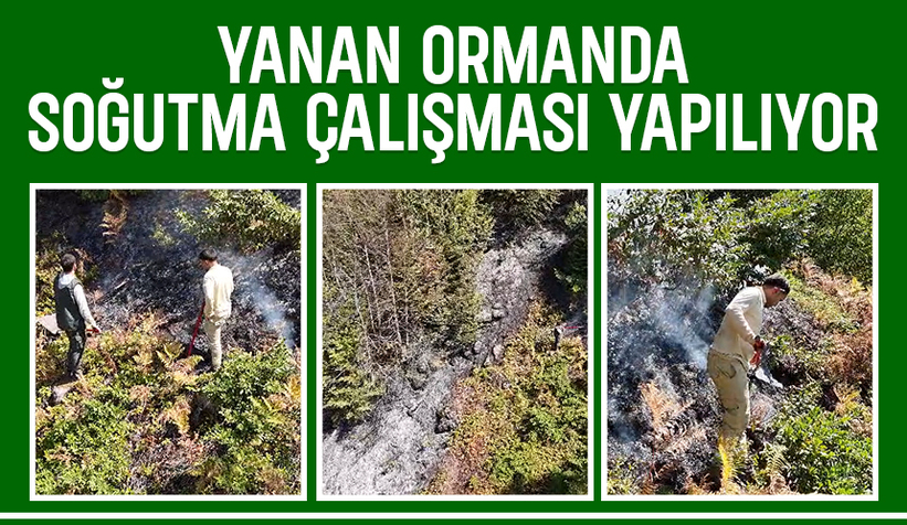 Keremali'de yanan ormanda soğutma çalışmaları sürüyor