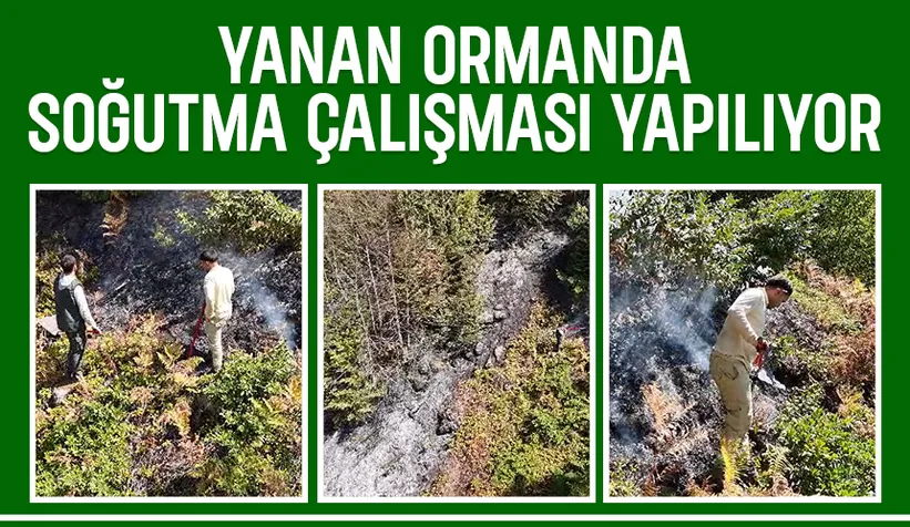 Keremali'de yanan ormanda soğutma çalışmaları sürüyor