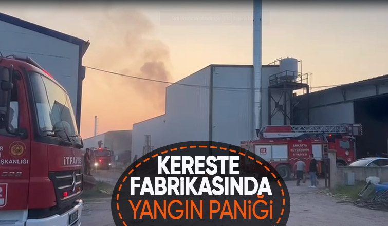 Kereste fabrikasında korkutan yangın