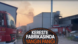 Kereste fabrikasında korkutan yangın