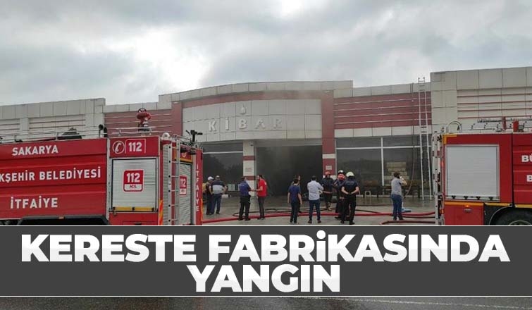 Kereste fabrikasında korkutan yangın