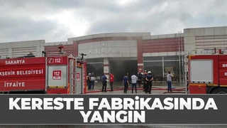 Kereste fabrikasında korkutan yangın