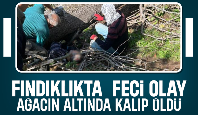 Kesilen ağacın altında kalıp öldü
