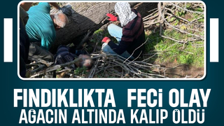Kesilen ağacın altında kalıp öldü
