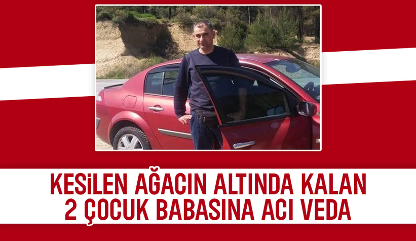 Kesilen ağacın altında kalmıştı, toprağa verildi
