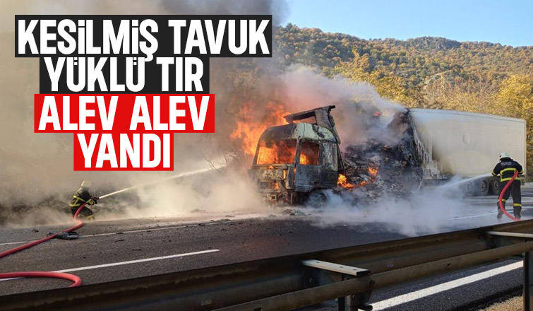 Kesilmiş tavuk yüklü tır yandı